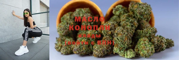 тгк Абаза