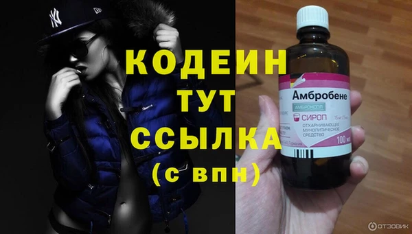 тгк Абаза