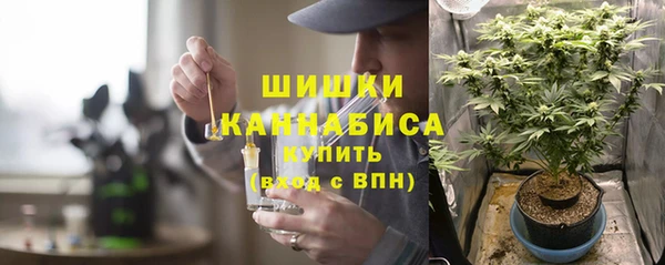 тгк Абаза